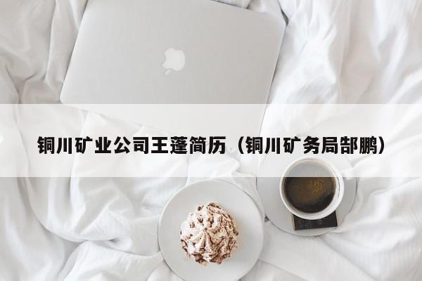 铜川矿业公司王蓬简历（铜川矿务局郜鹏）