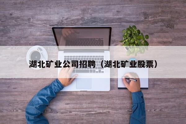 湖北矿业公司招聘（湖北矿业股票）