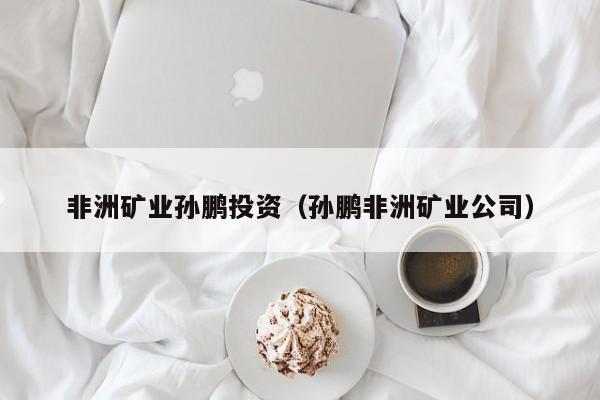 非洲矿业孙鹏投资（孙鹏非洲矿业公司）