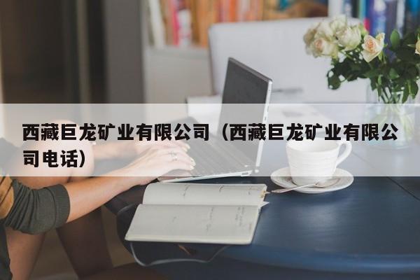 西藏巨龙矿业有限公司（西藏巨龙矿业有限公司电话）