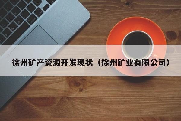 徐州矿产资源开发现状（徐州矿业有限公司）