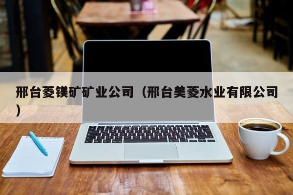 邢台菱镁矿矿业公司（邢台美菱水业有限公司）