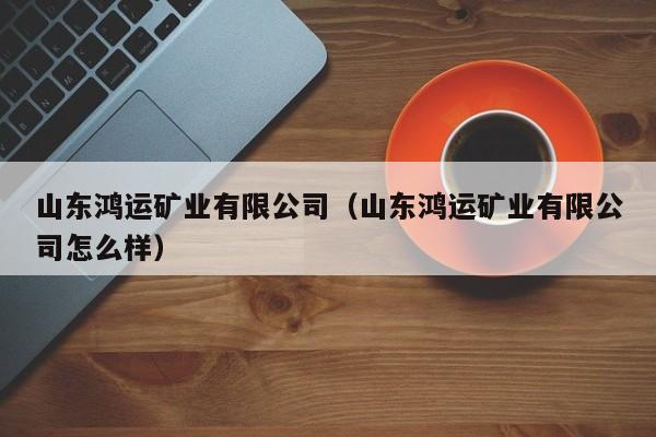 山东鸿运矿业有限公司（山东鸿运矿业有限公司怎么样）