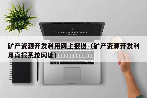 矿产资源开发利用网上报送（矿产资源开发利用直报系统网址）