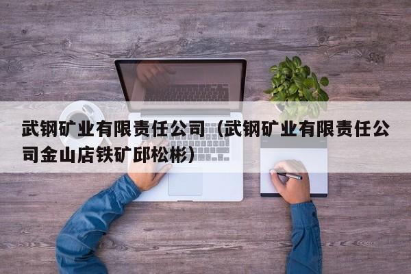 武钢矿业有限责任公司（武钢矿业有限责任公司金山店铁矿邱松彬）