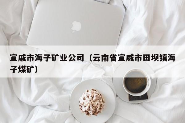 宣戚市海子矿业公司（云南省宣威市田坝镇海子煤矿）