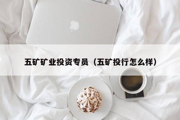 五矿矿业投资专员（五矿投行怎么样）