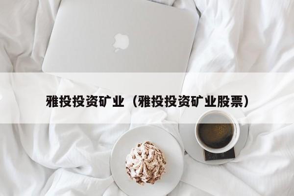 雅投投资矿业（雅投投资矿业股票）