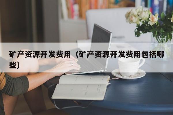 矿产资源开发费用（矿产资源开发费用包括哪些）