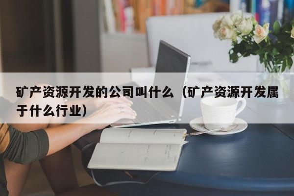 矿产资源开发的公司叫什么（矿产资源开发属于什么行业）