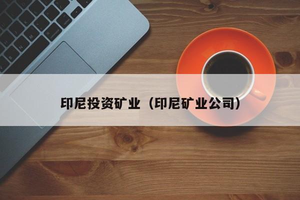 印尼投资矿业（印尼矿业公司）