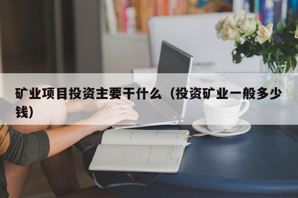 矿业项目投资主要干什么（投资矿业一般多少钱）