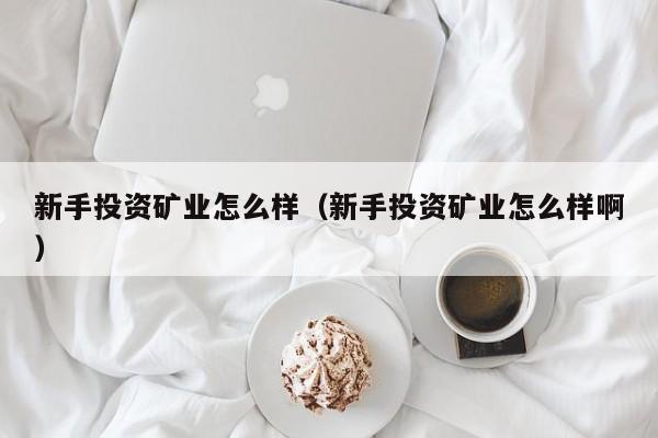 新手投资矿业怎么样（新手投资矿业怎么样啊）