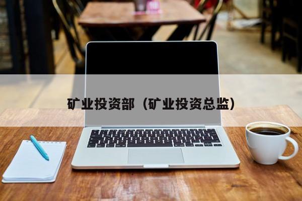 矿业投资部（矿业投资总监）