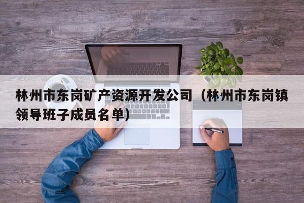 林州市东岗矿产资源开发公司（林州市东岗镇领导班子成员名单）