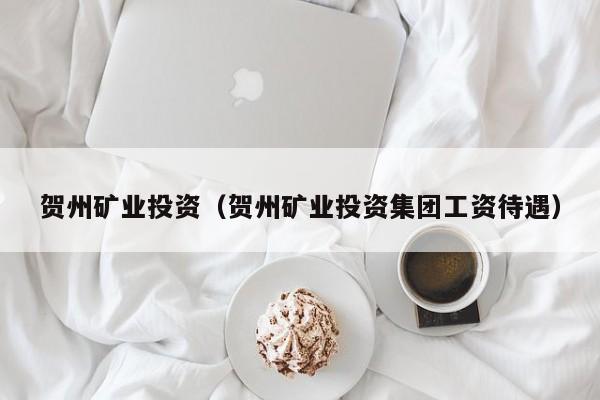 贺州矿业投资（贺州矿业投资集团工资待遇）