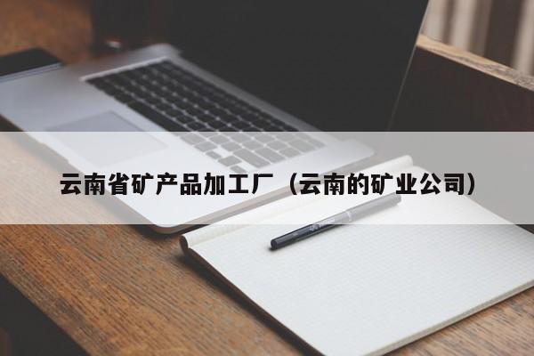 云南省矿产品加工厂（云南的矿业公司）
