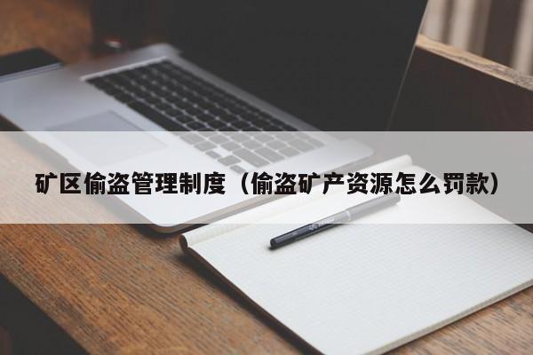 矿区偷盗管理制度（偷盗矿产资源怎么罚款）