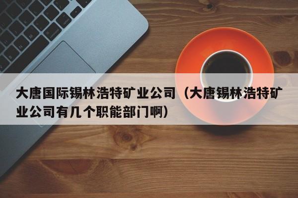 大唐国际锡林浩特矿业公司（大唐锡林浩特矿业公司有几个职能部门啊）