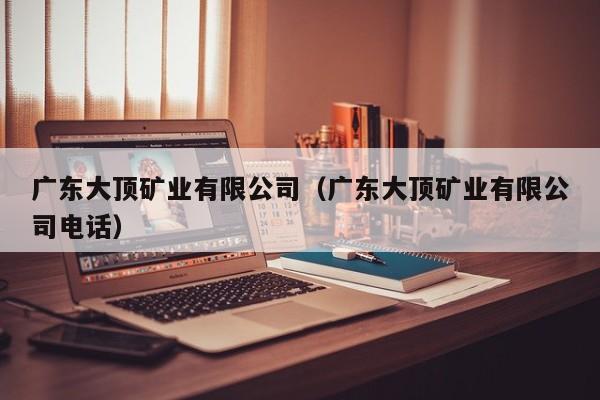 广东大顶矿业有限公司（广东大顶矿业有限公司电话）