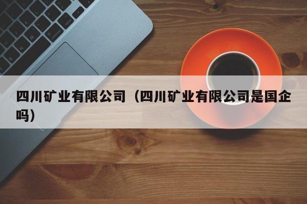四川矿业有限公司（四川矿业有限公司是国企吗）